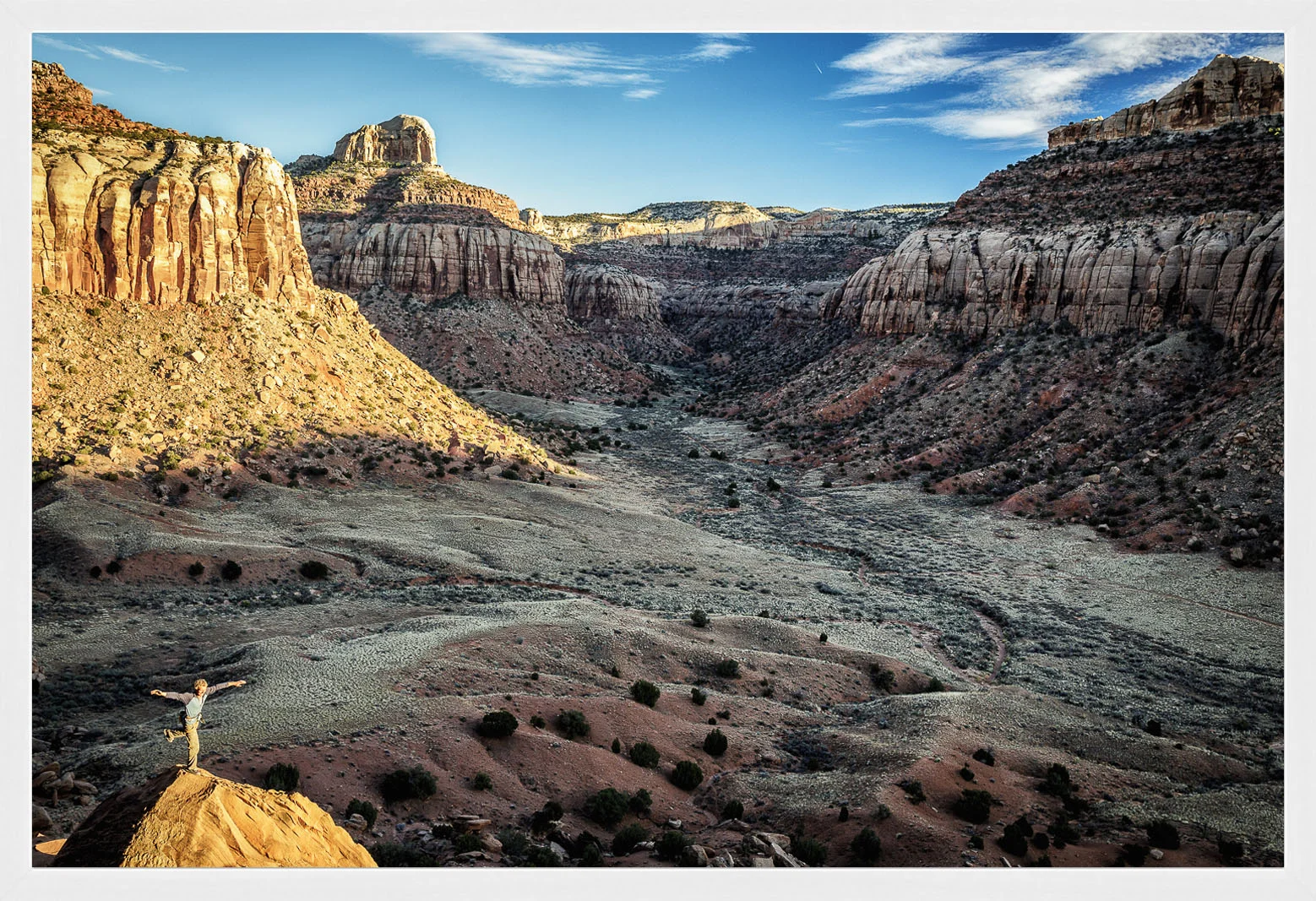 009A9732-Edit - 4 - framed white - no mat.jpg