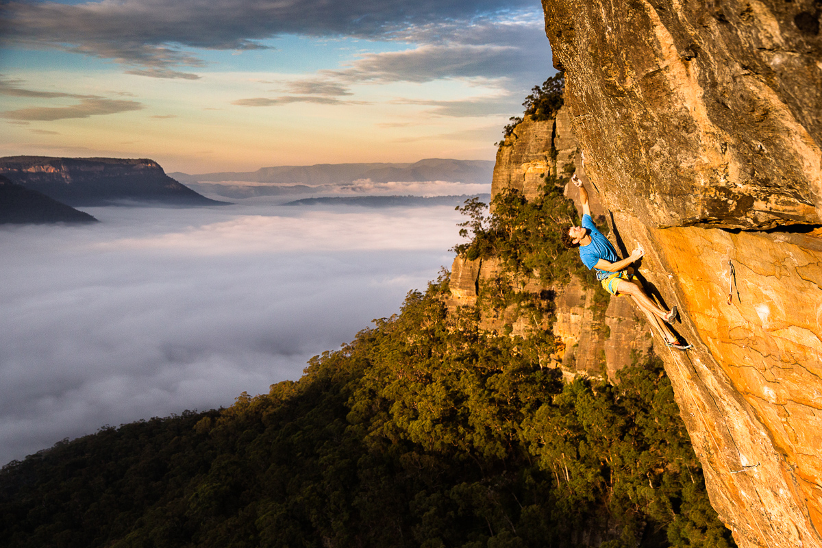 Winning photo: Tiger Cat, Elphinstone, Blue Mountains (Australia)