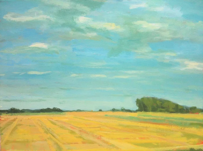 Looking south to Waxham.jpg