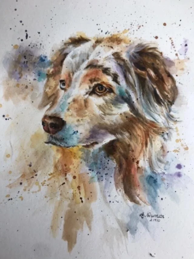 watercolor animal portraits