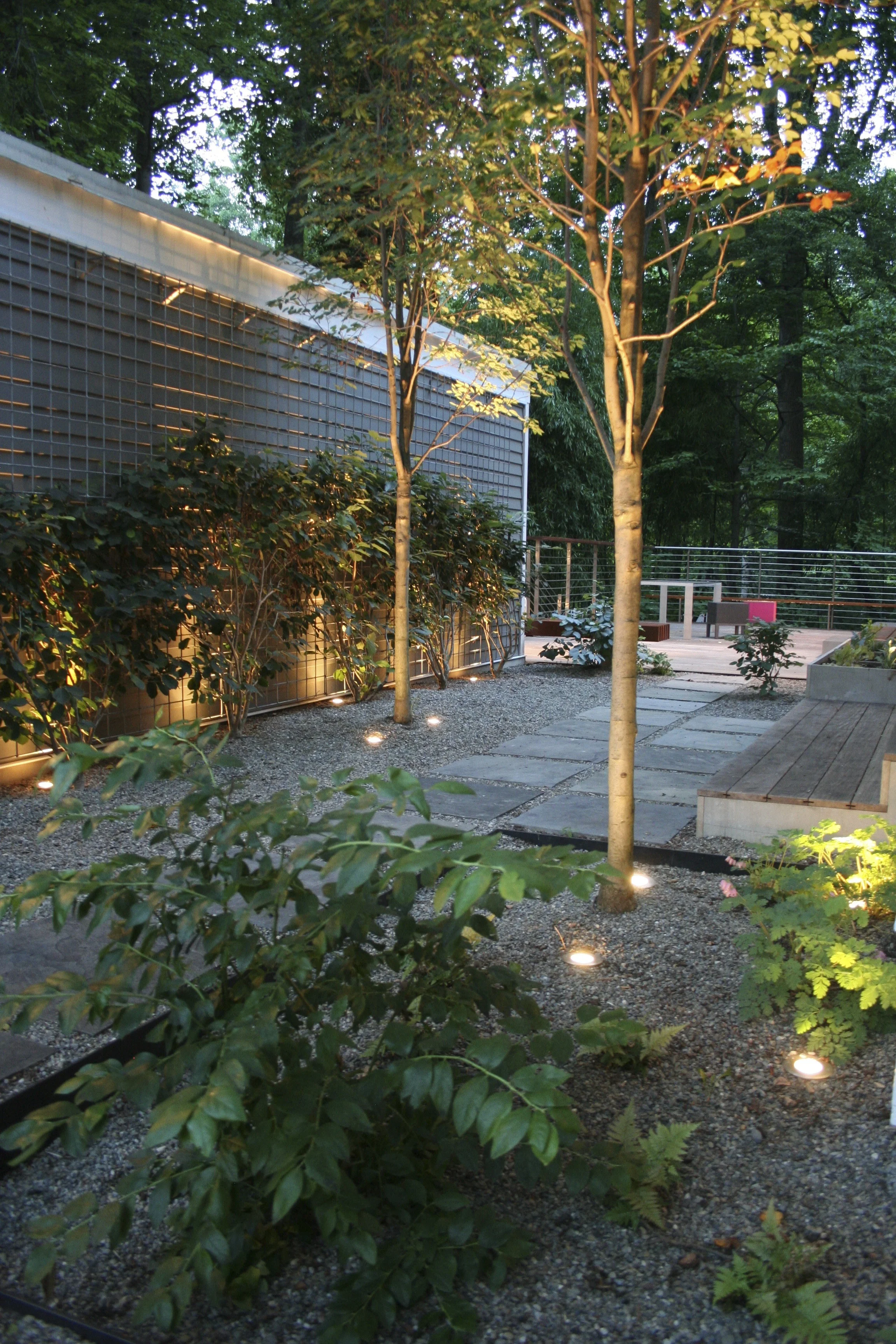 Residence: Bethesda, MD