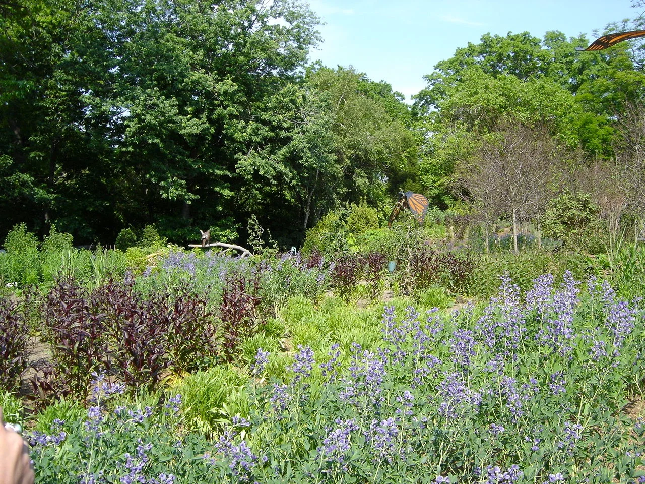 Bronx Zoo: Butterfly Garden