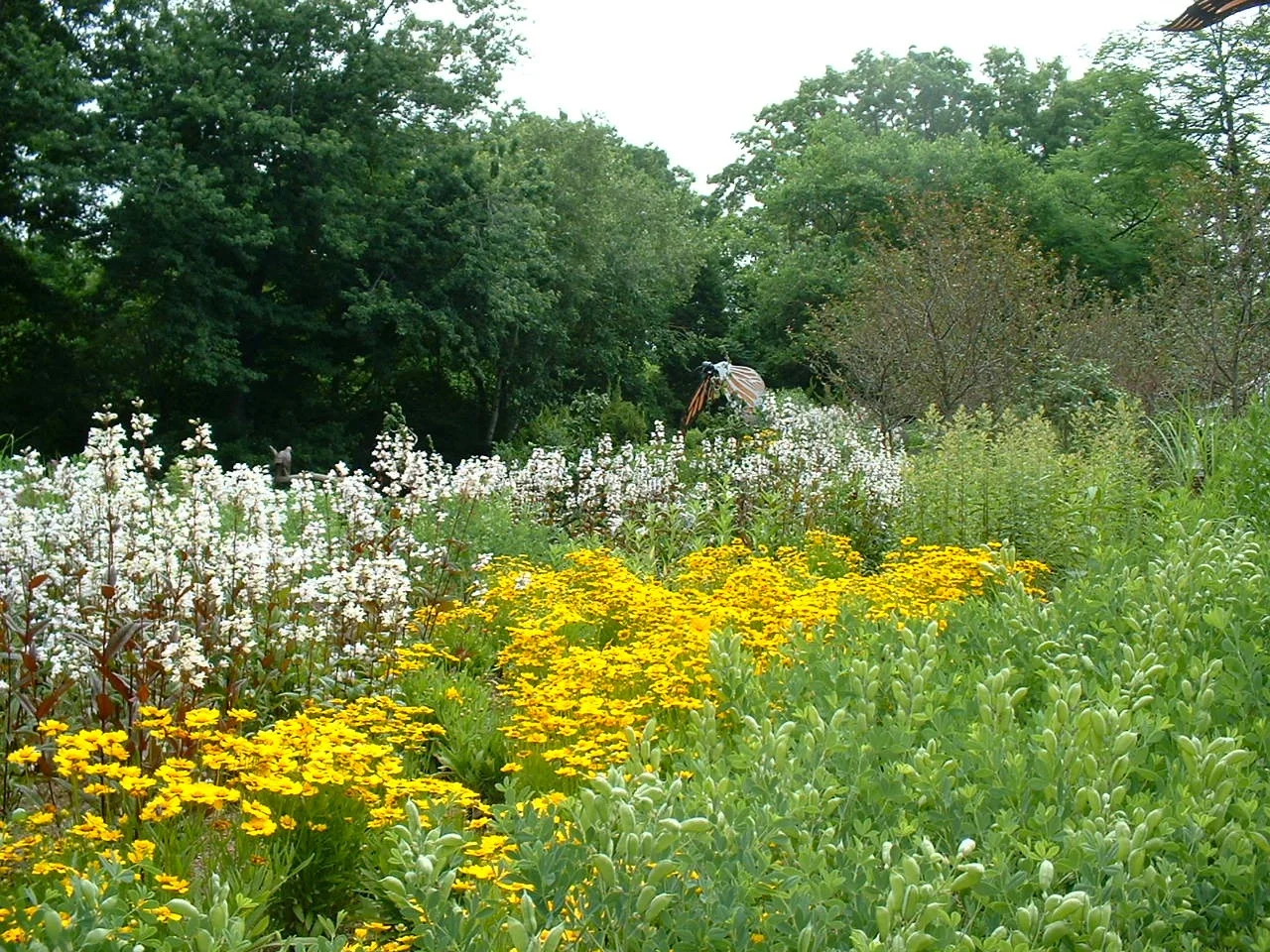Bronx Zoo: Butterfly Garden