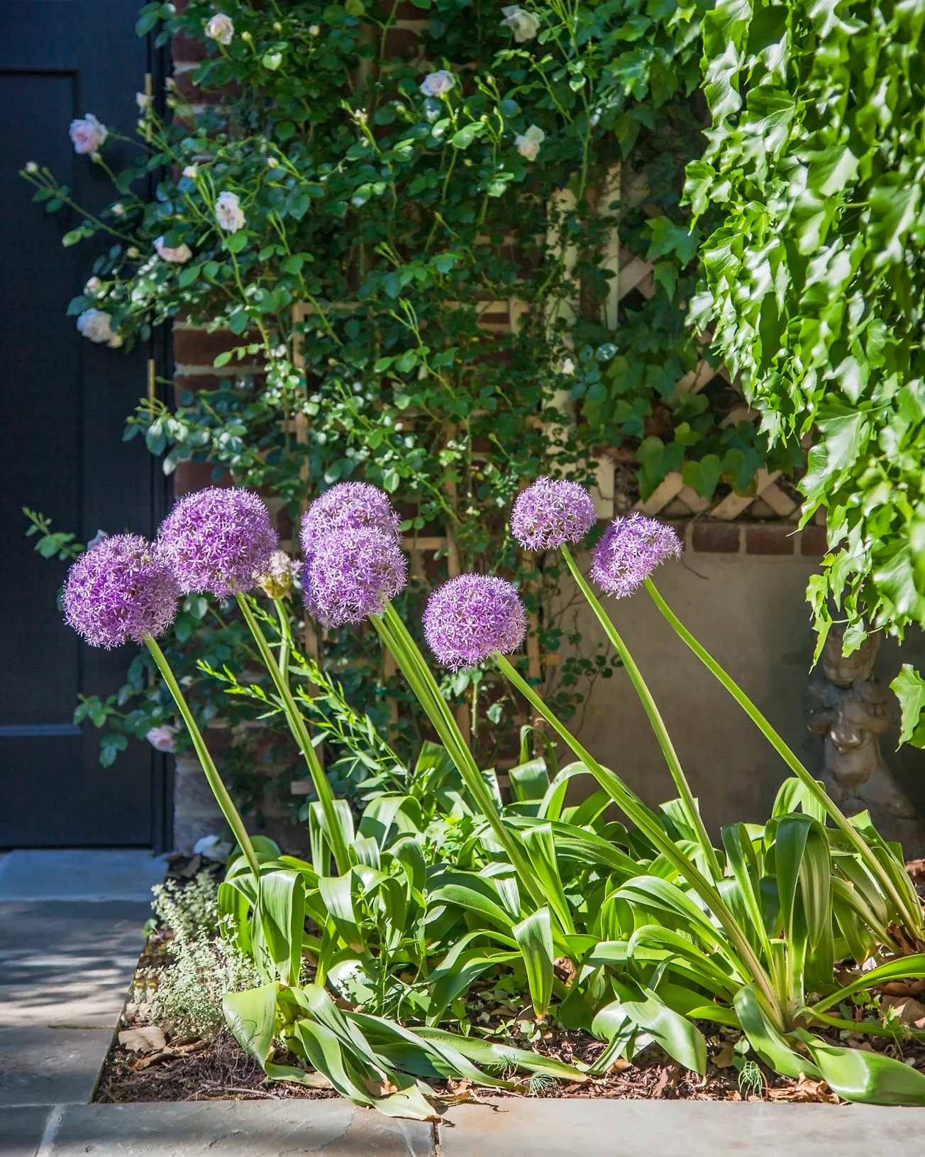 Kalorama Traditional — JHLA