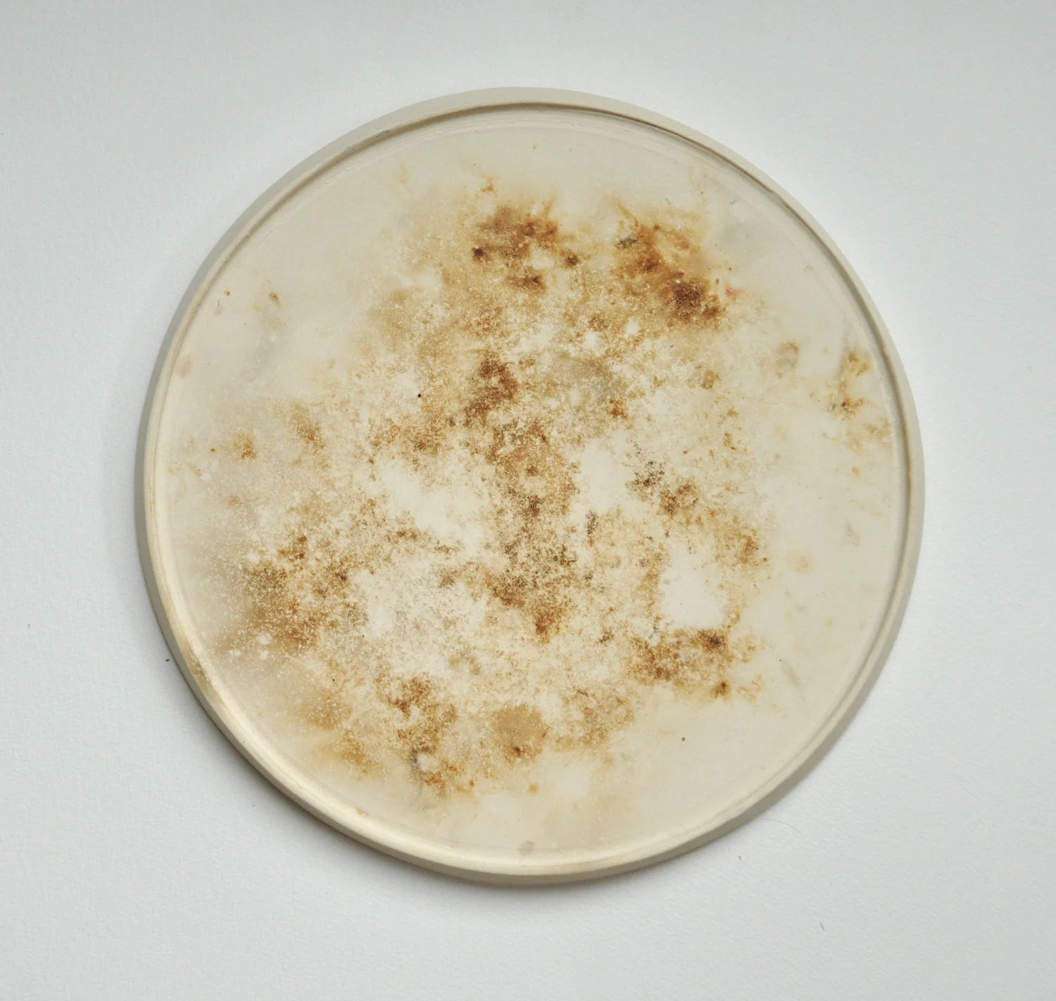 Dust Plate 5.13.17