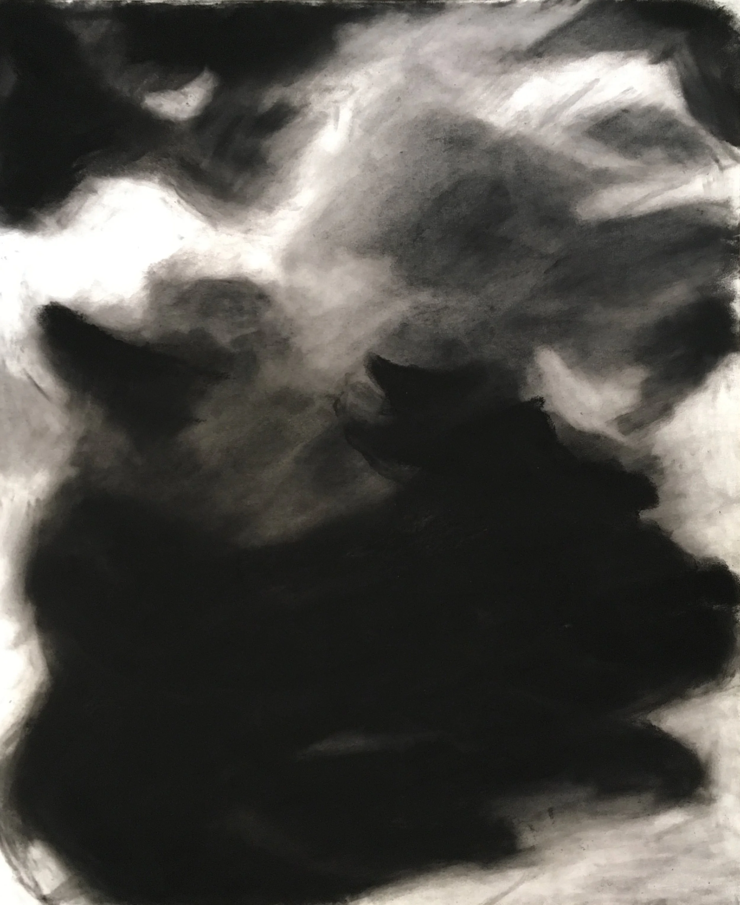 Storm, Charcoal on Paper, 17 x 14 in.