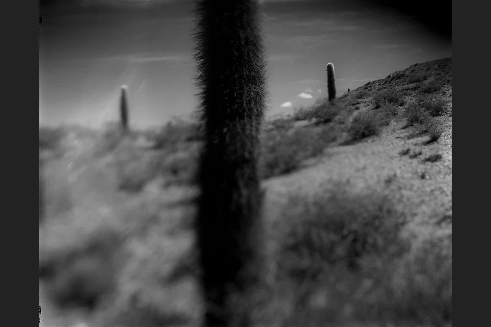 PERMANENTES#3.jpg