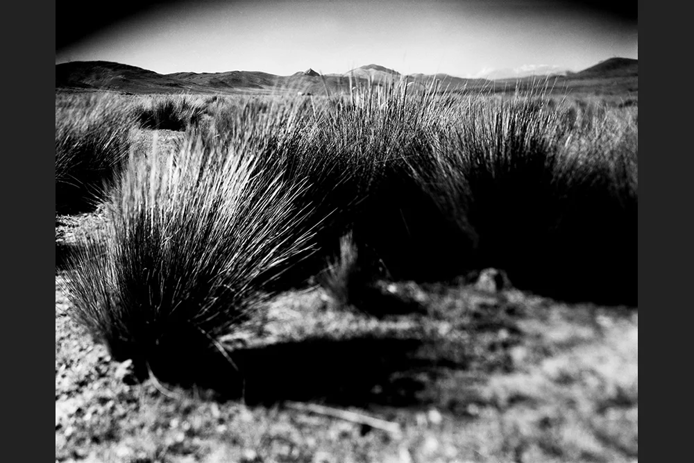 PERMANENTES#30.jpg