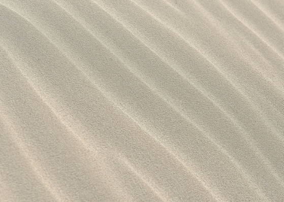 Untitled design-2.jpg