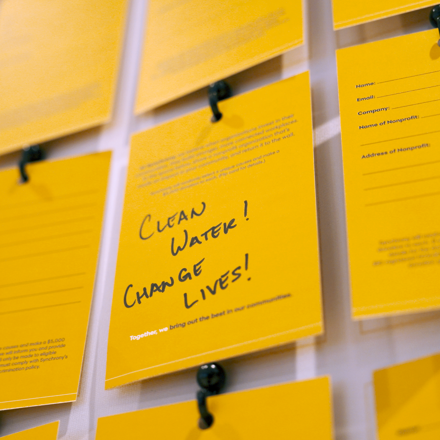 Synchrony \ Experiential