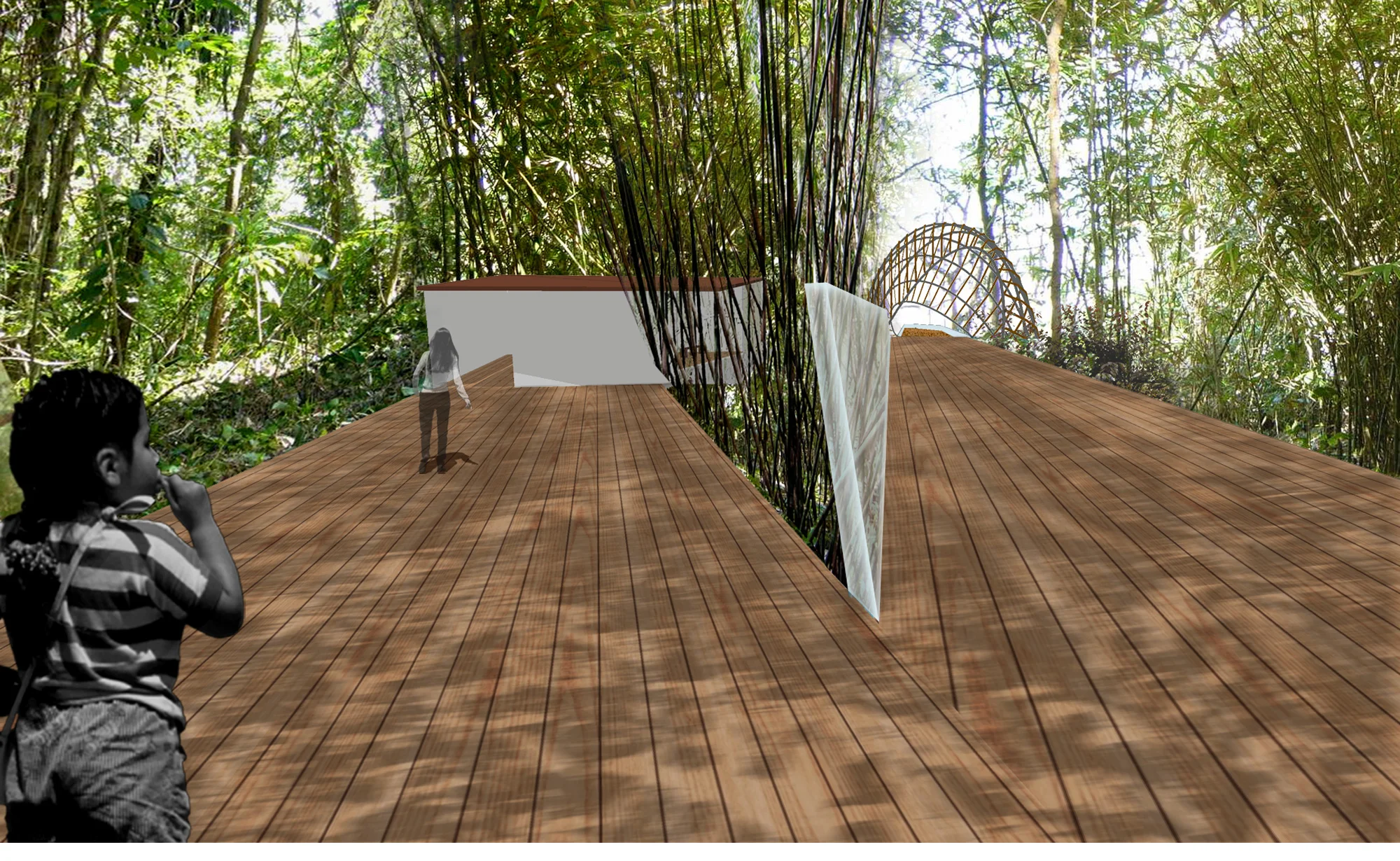 Canopy_4_PathDivides.jpg