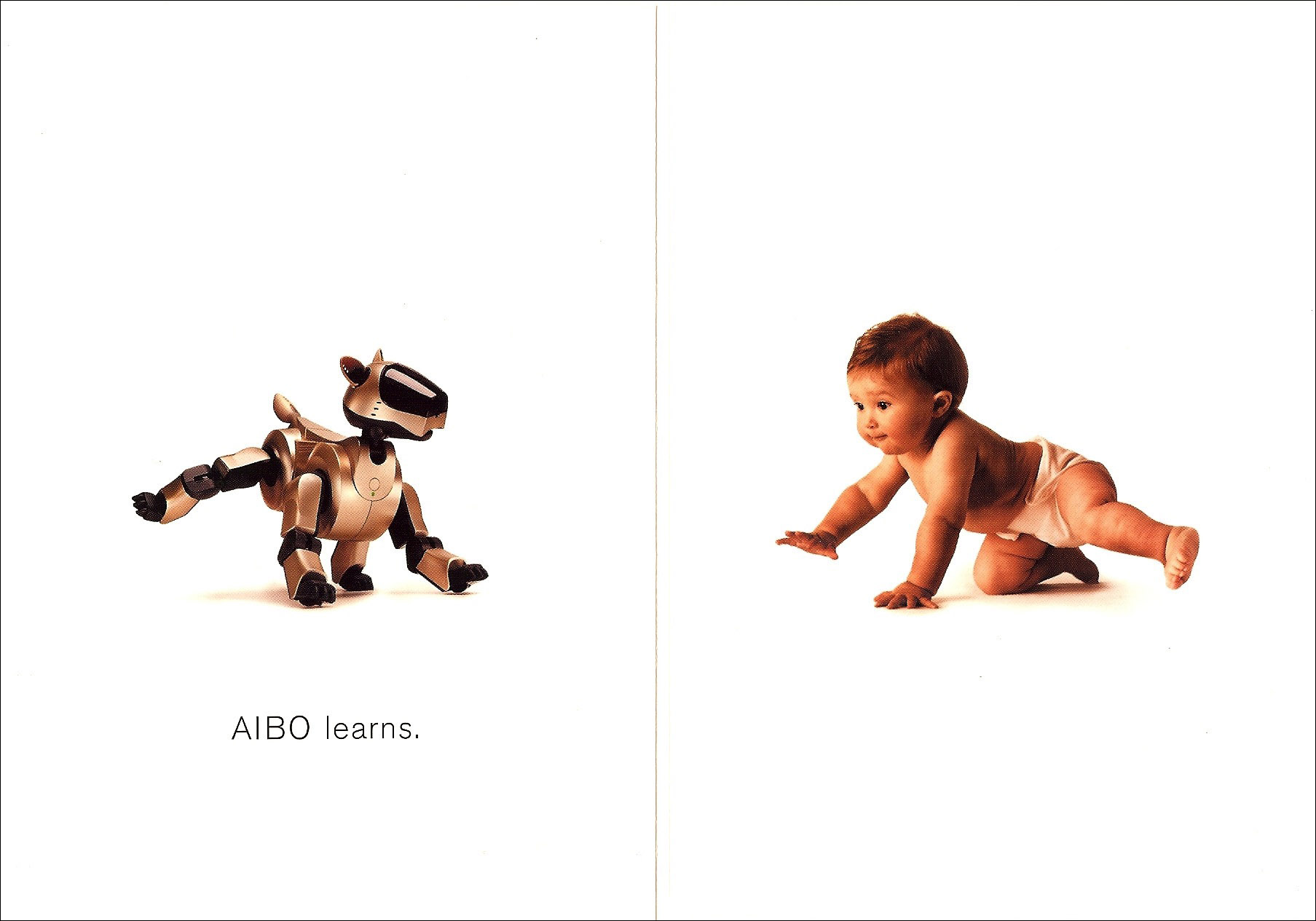 aibo 2_donea.jpg