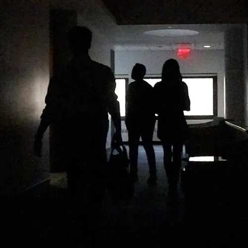 THE VISITORS
