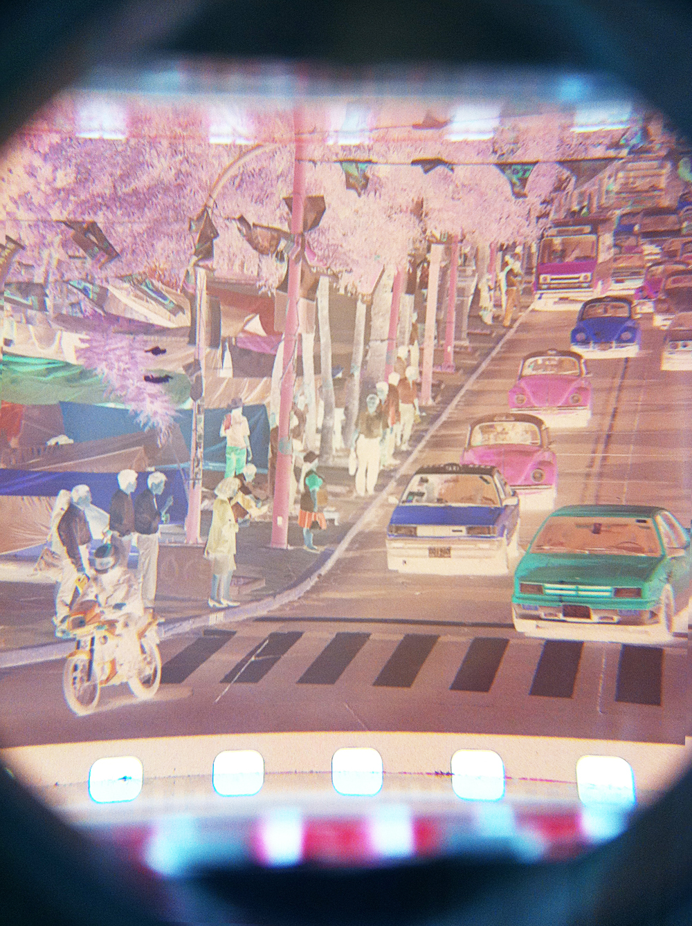 6464912567_ac4b079364_o.jpg