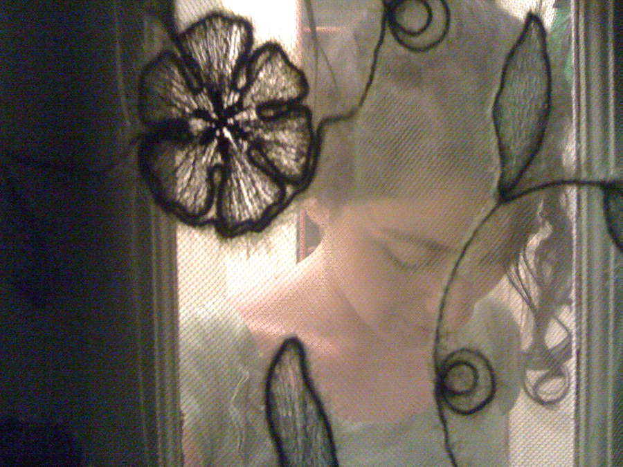 Vasia in Brooklyn, July 4, 2009