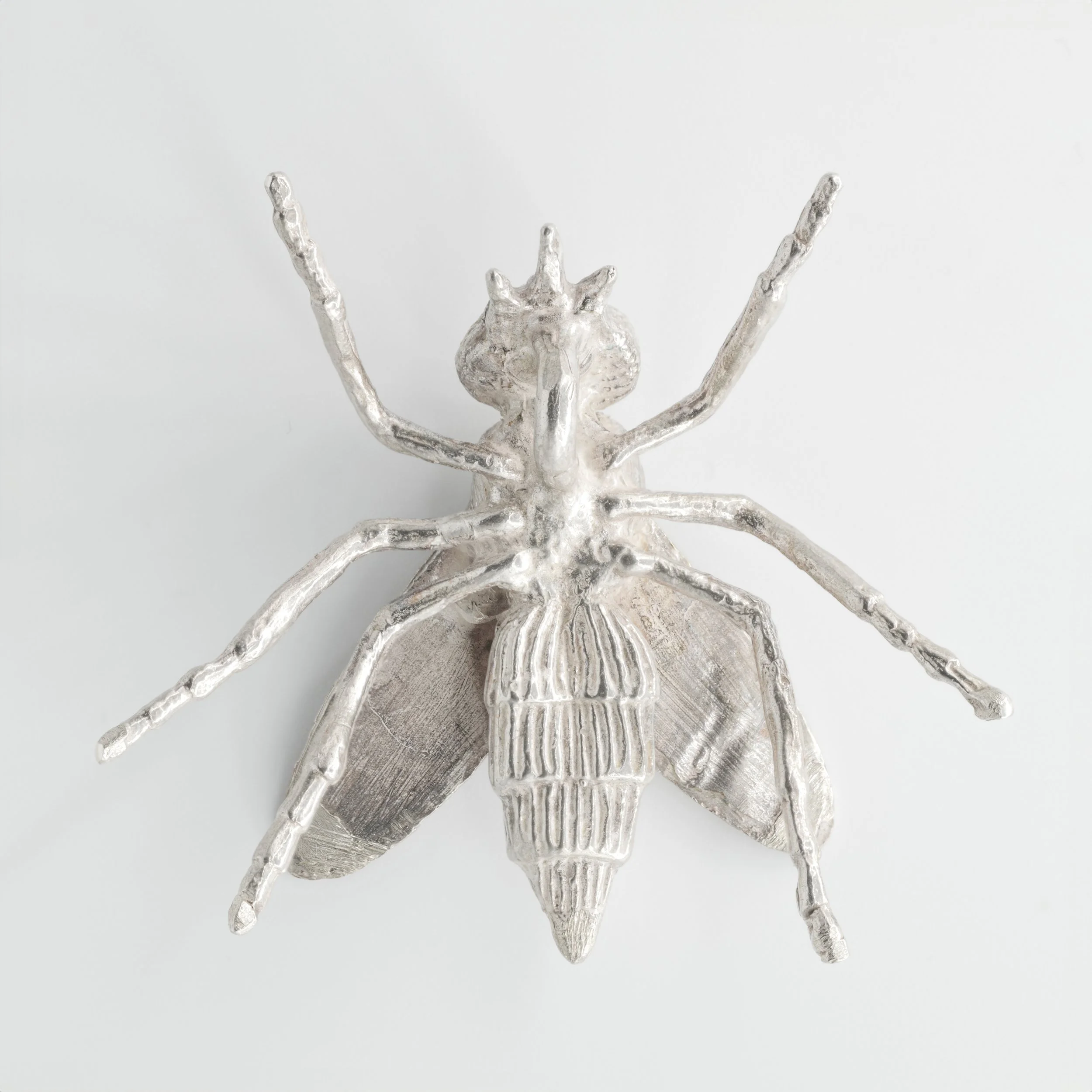 Fly (4 of 4).jpg