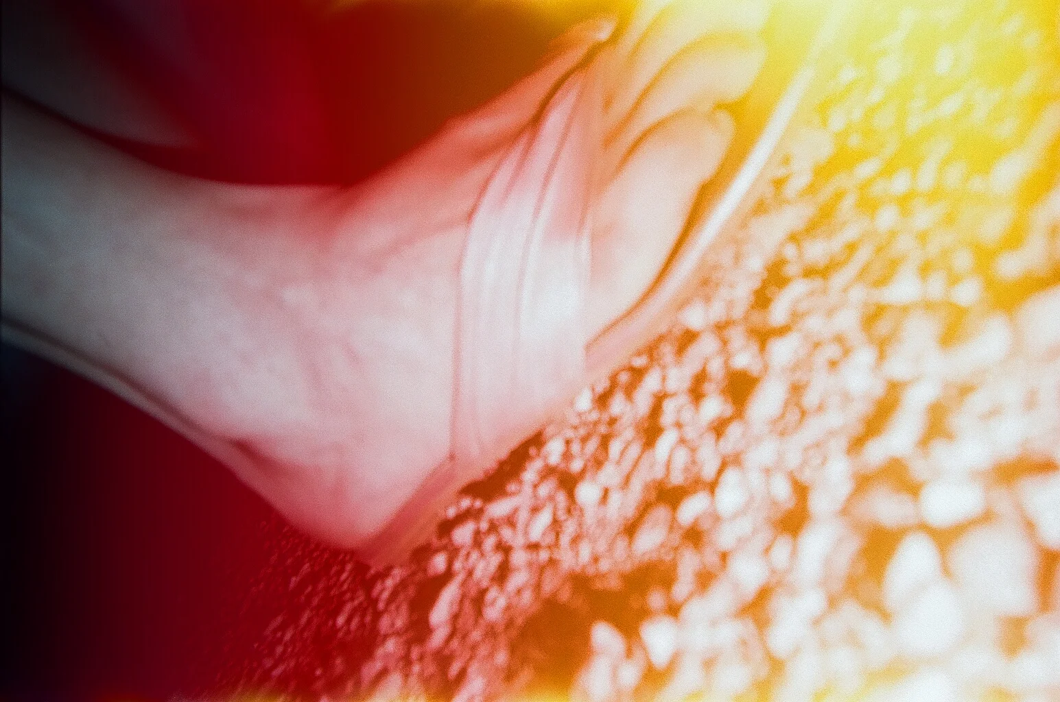 I dropped my camera on the cement, inadvertently taking a portrait of my lovely foot while also causing light leaks.