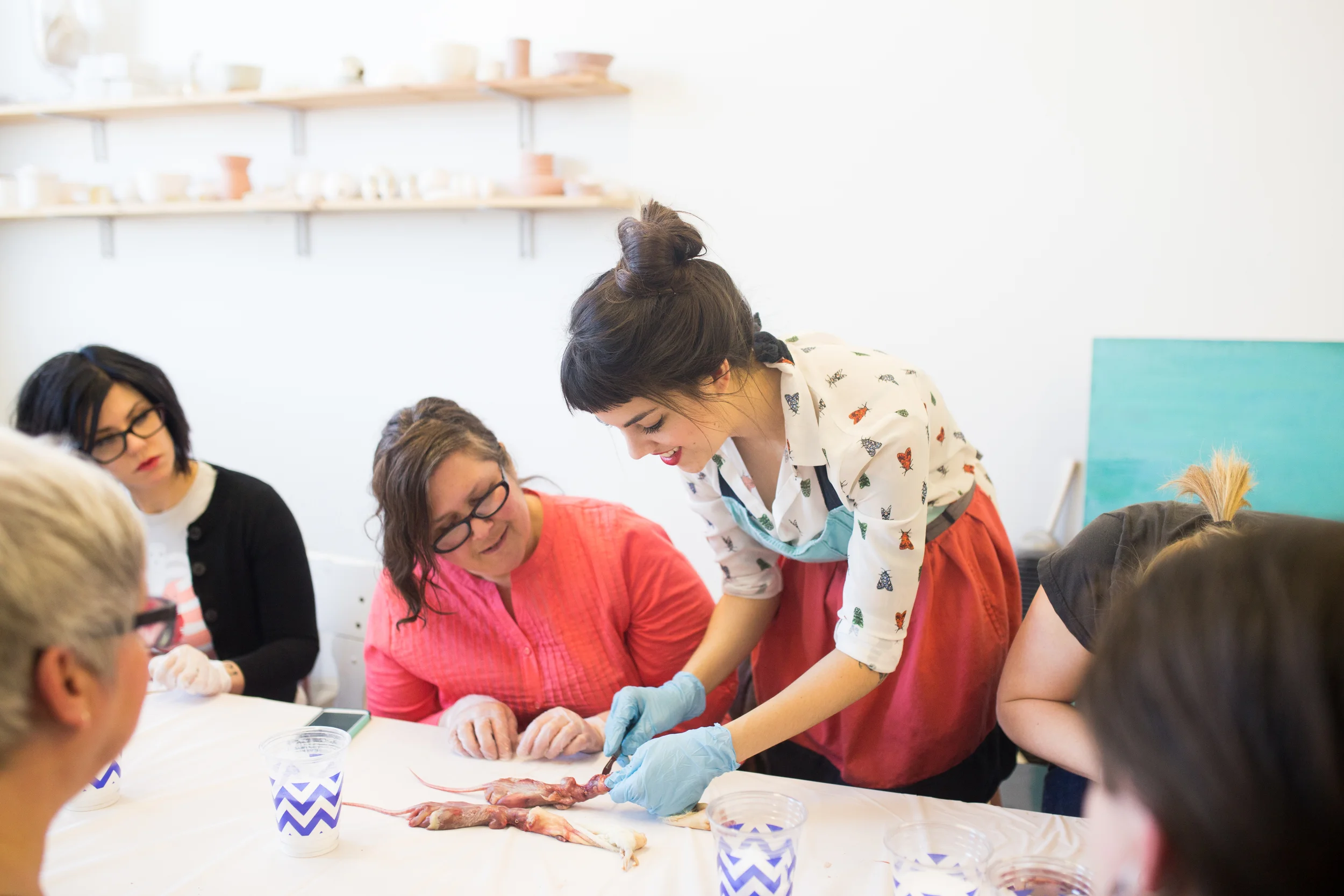 Teaching in Somerville, Massachusetts // taken by Madeline Barr Photo