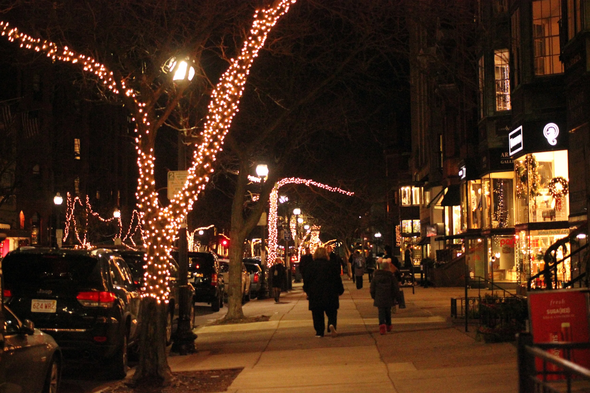 Newbury Street all lit up for the holidays.