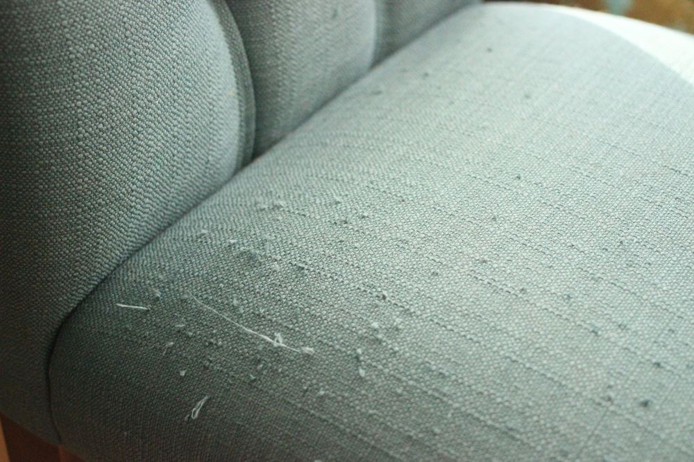 How To Fix Snagged Upholstery Mickey, How To Repair Cat Damaged Sofa