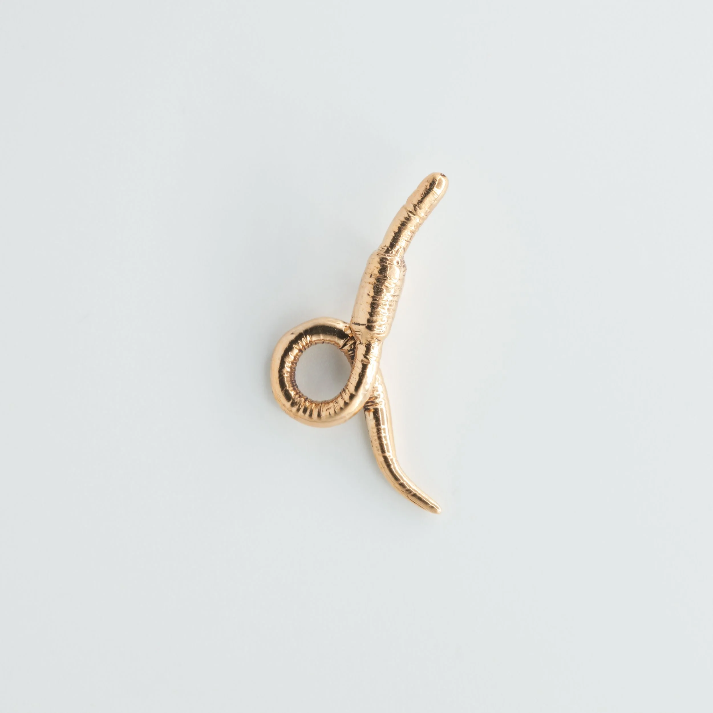 Earth Worm (1 of 6).jpg (Copy)