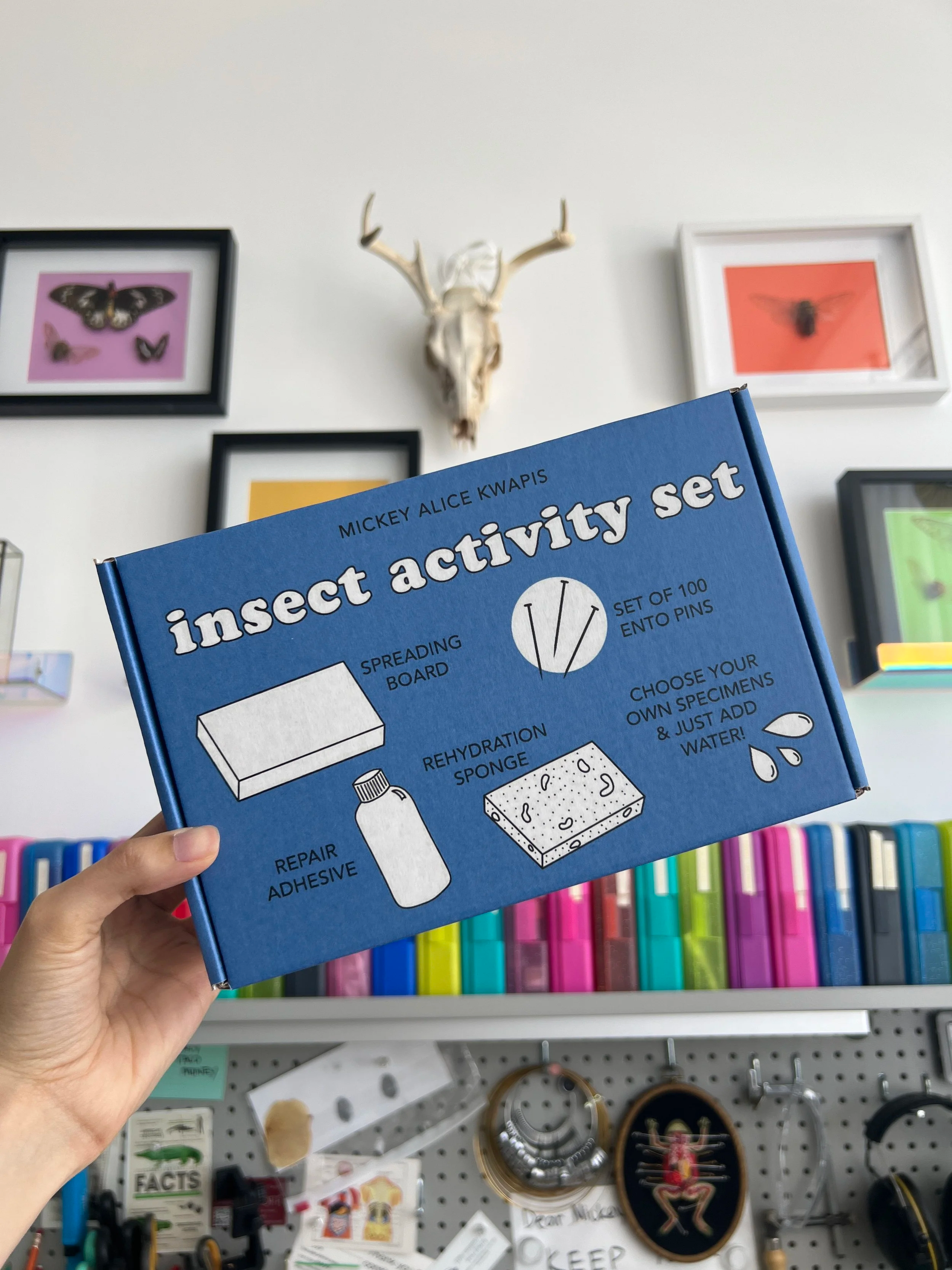 Insect Kits &amp; Classes