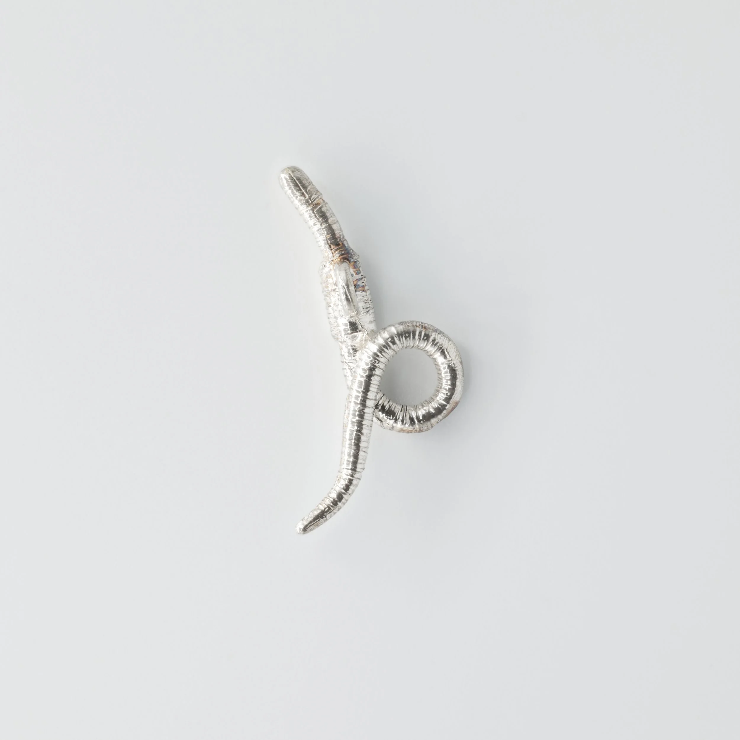 Earth Worm (4 of 6).jpg (Copy)