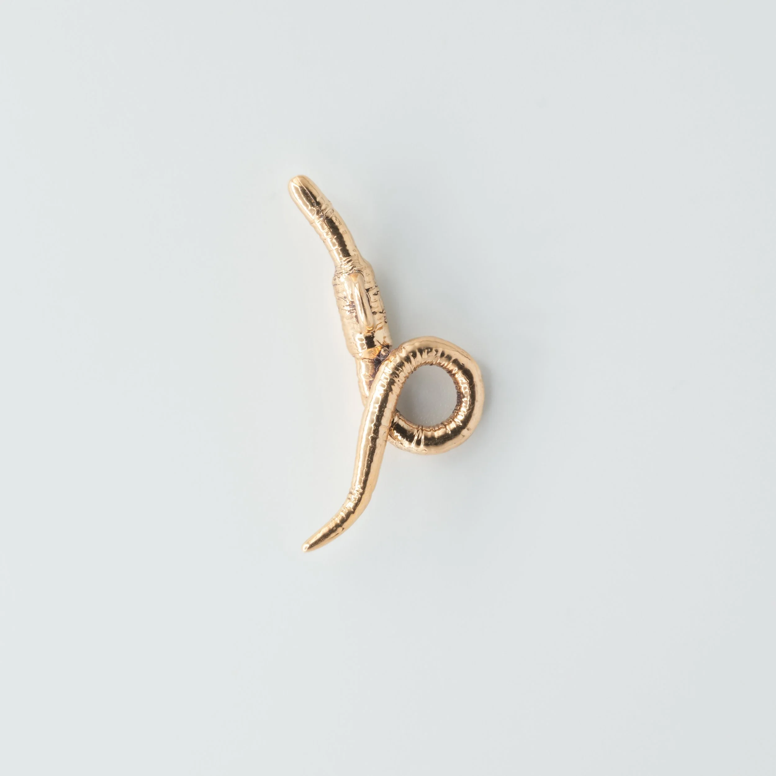Earth Worm (2 of 6).jpg