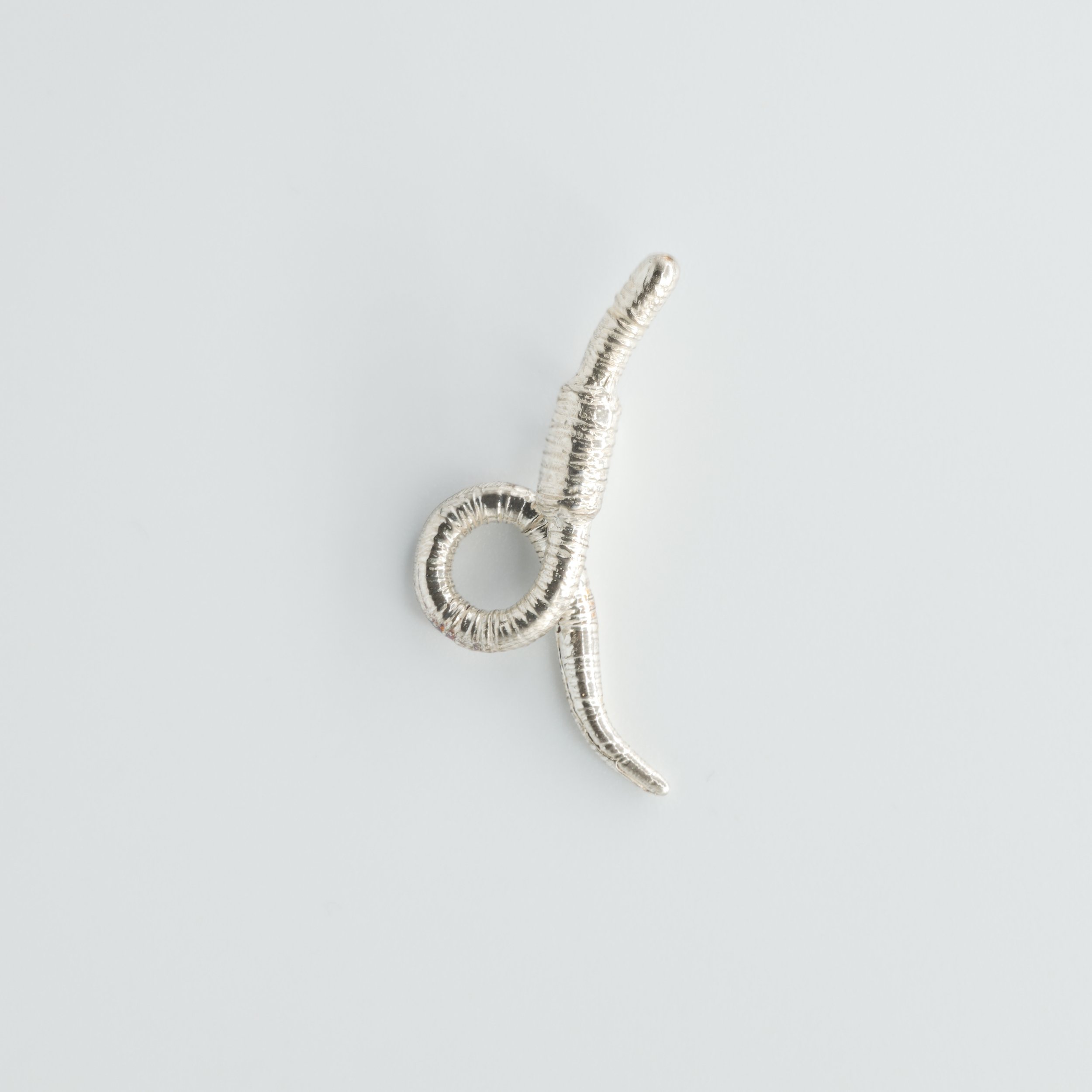 Earth Worm (3 of 6).jpg (Copy)