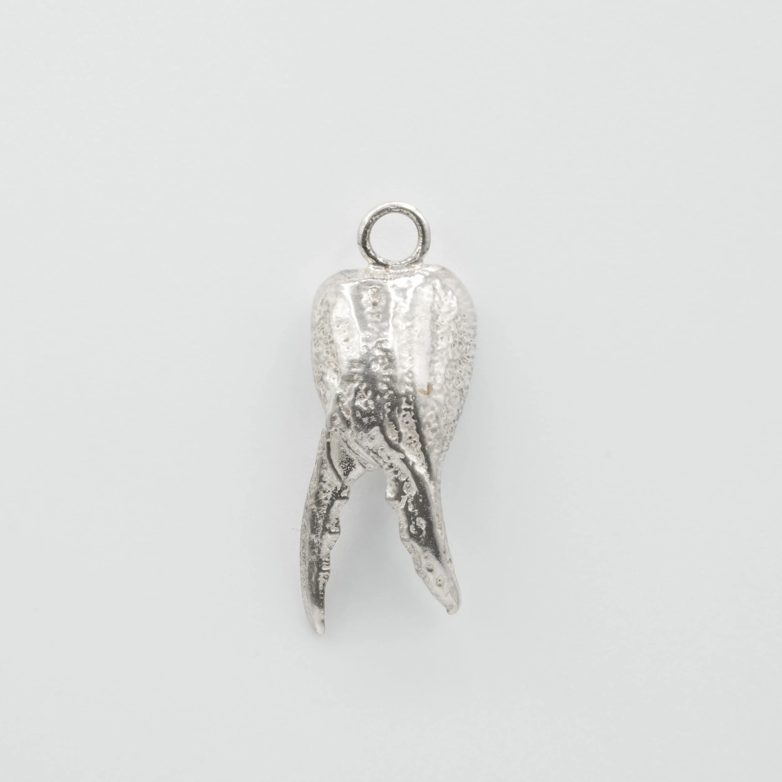 Scorpian Claw (5 of 5).jpg (Copy)