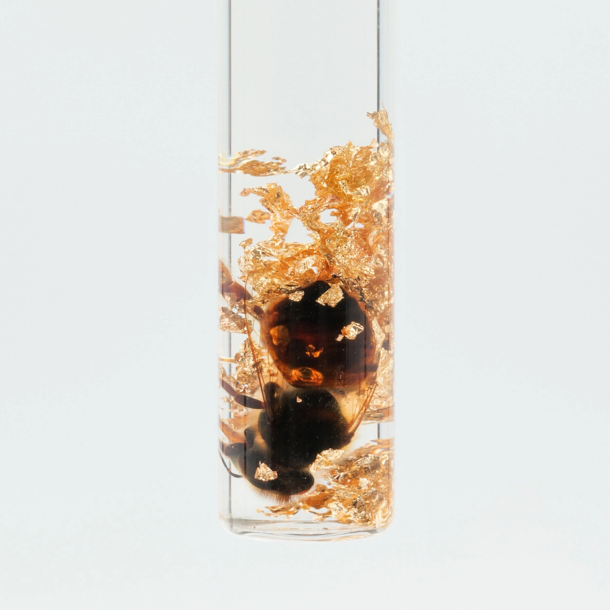 Honeybee Necklace (1 of 1)_2.jpg