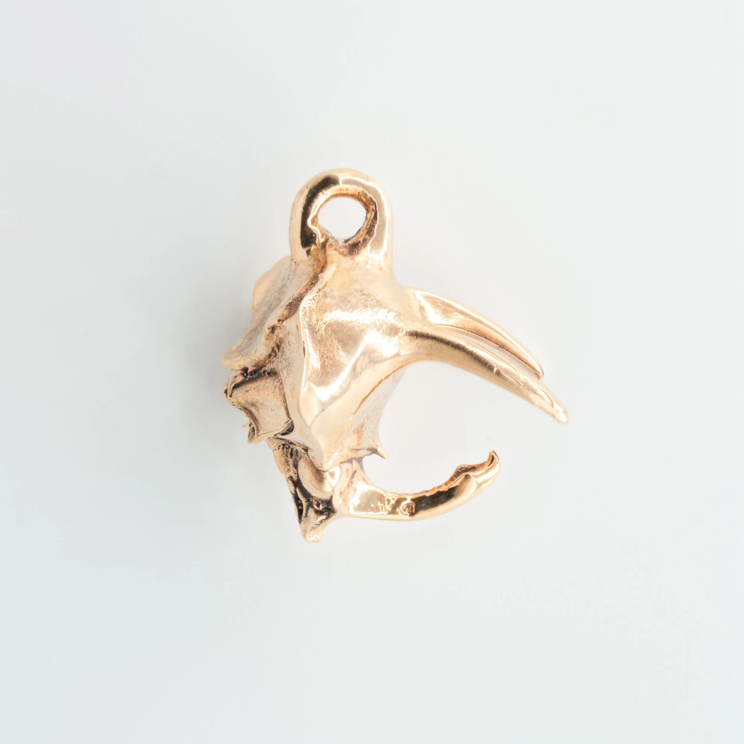 Atlas Beetle Head (3 of 9).jpg (Copy)