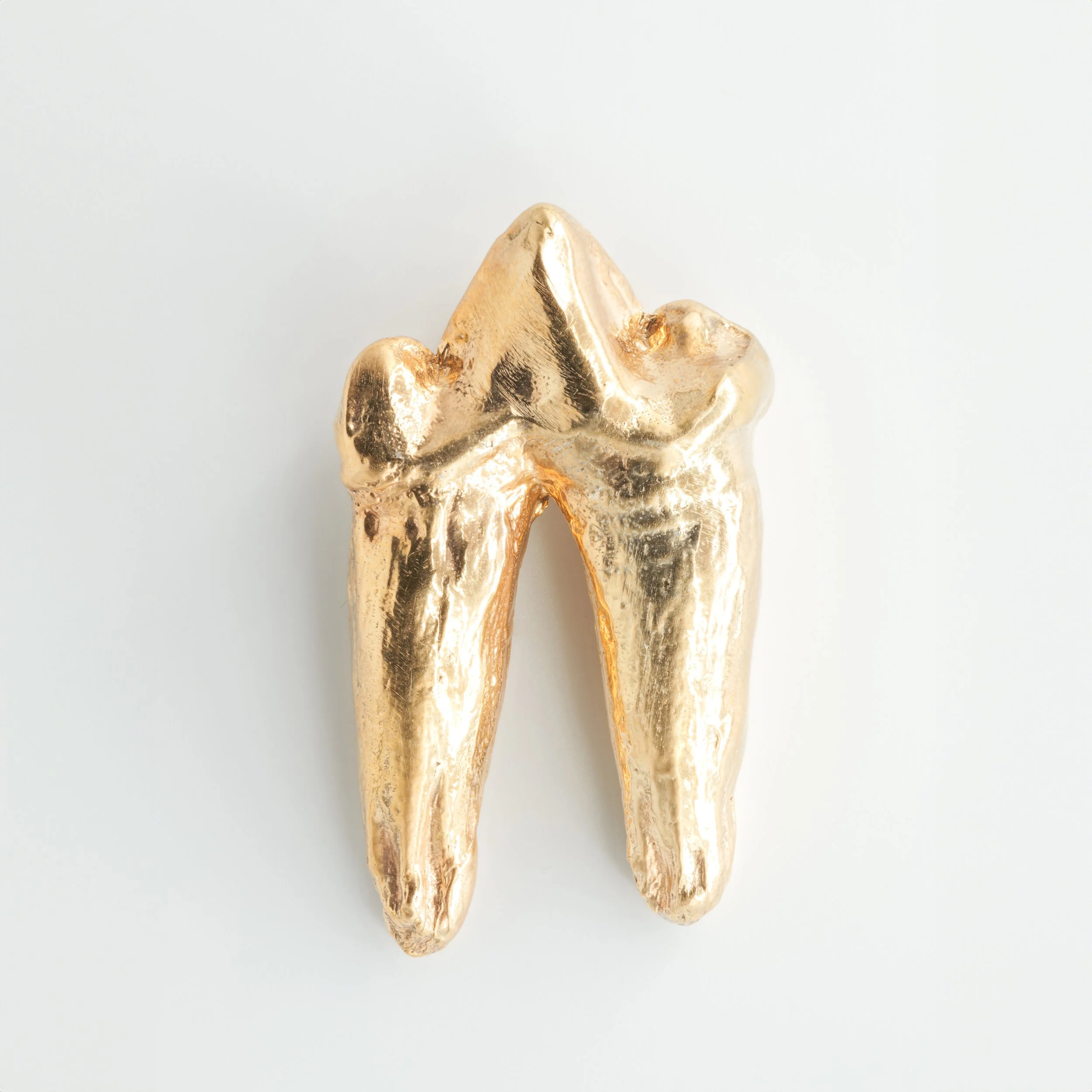 Lions Tooth (5 of 6).jpg