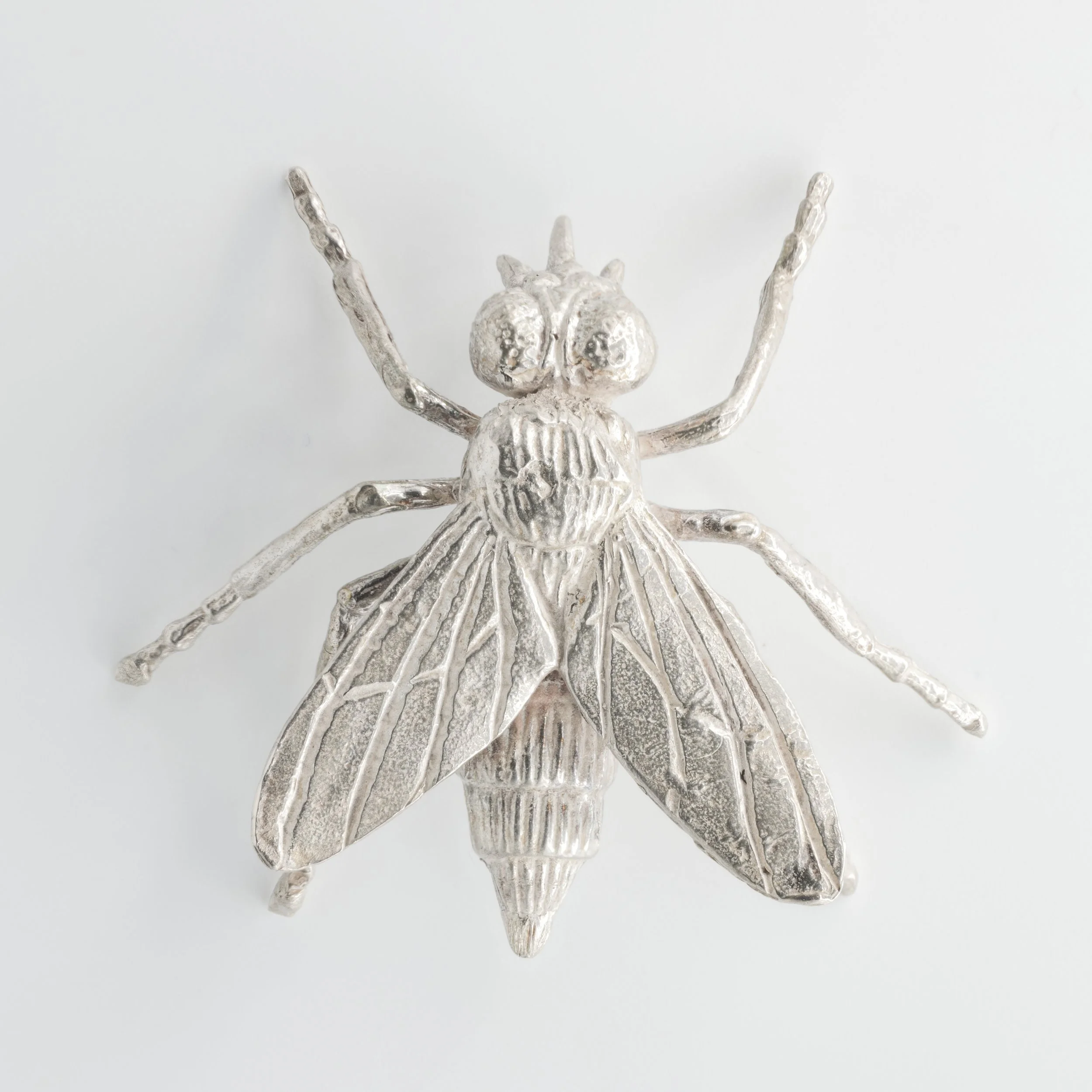 Fly (3 of 4).jpg