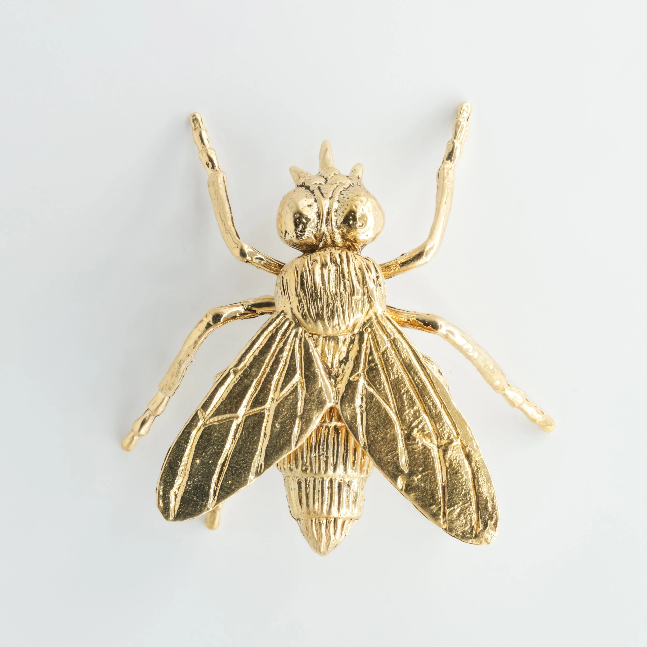 Fly (1 of 4).jpg (Copy)
