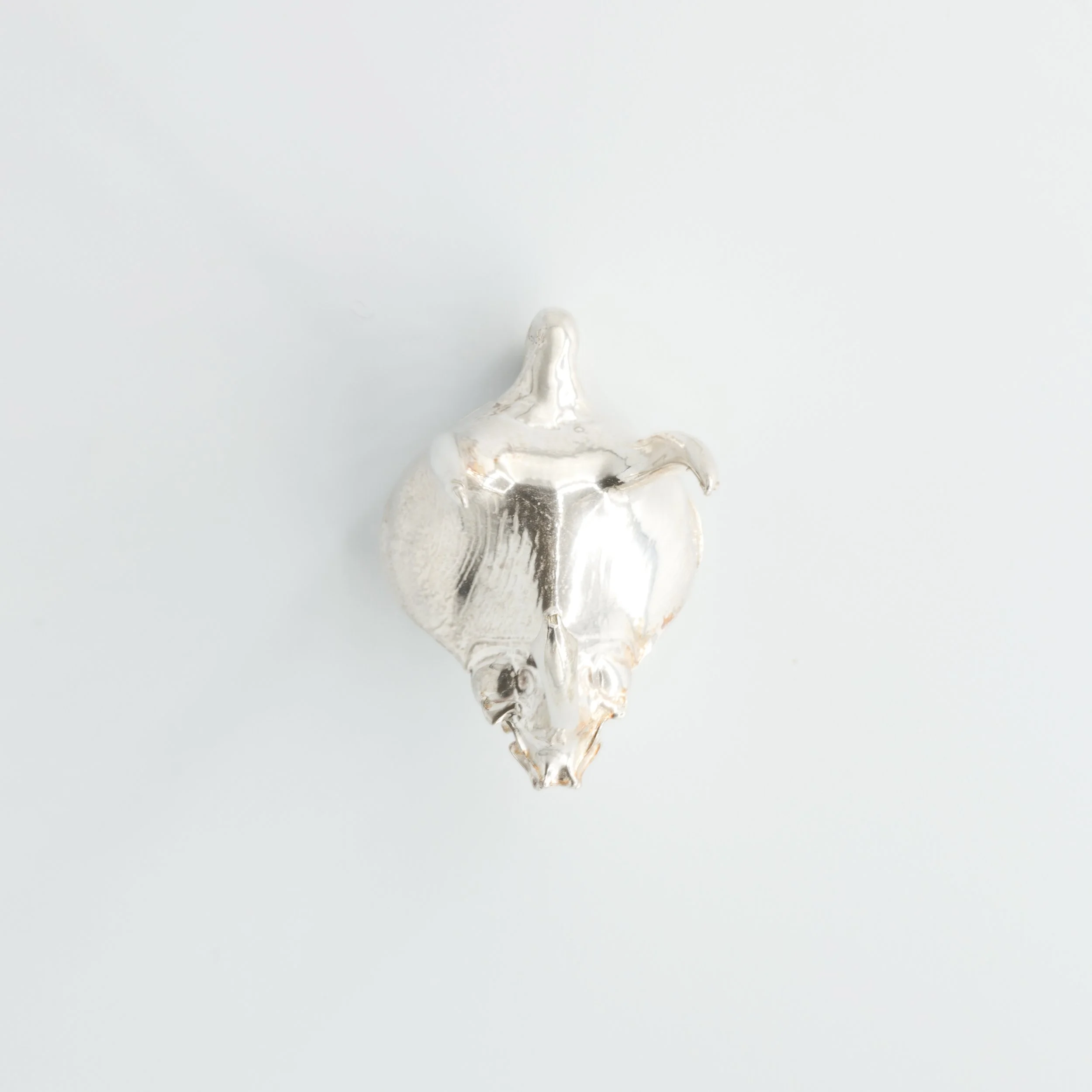 Atlas Beetle Head (4 of 9).jpg
