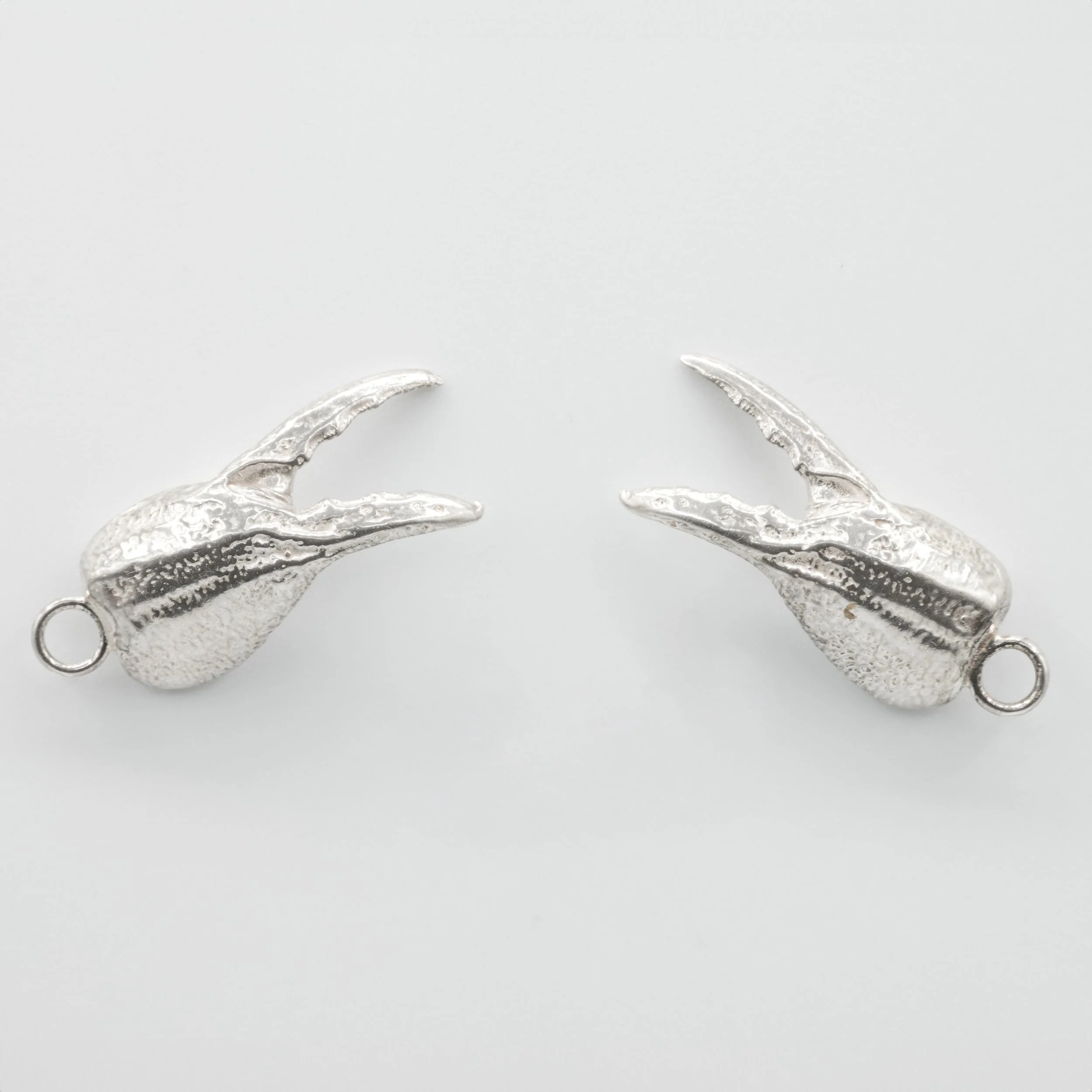 Scorpian Claw (1 of 5).jpg (Copy)