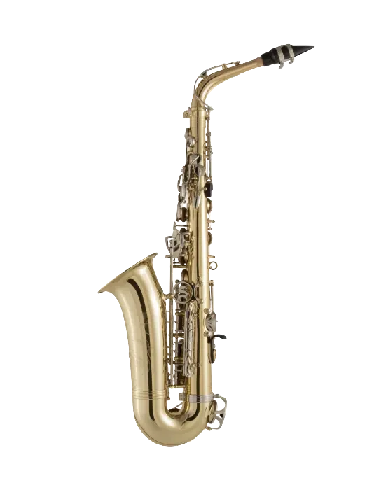 SAS301_Selmer_Student_Alto_Saxophone_In_Bk_Vr_Fs copy.png