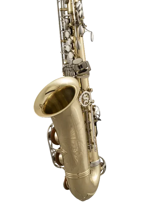 SAS301_Selmer_Student_Alto_Saxophone_In_Bk_Vr_Ls copy.png