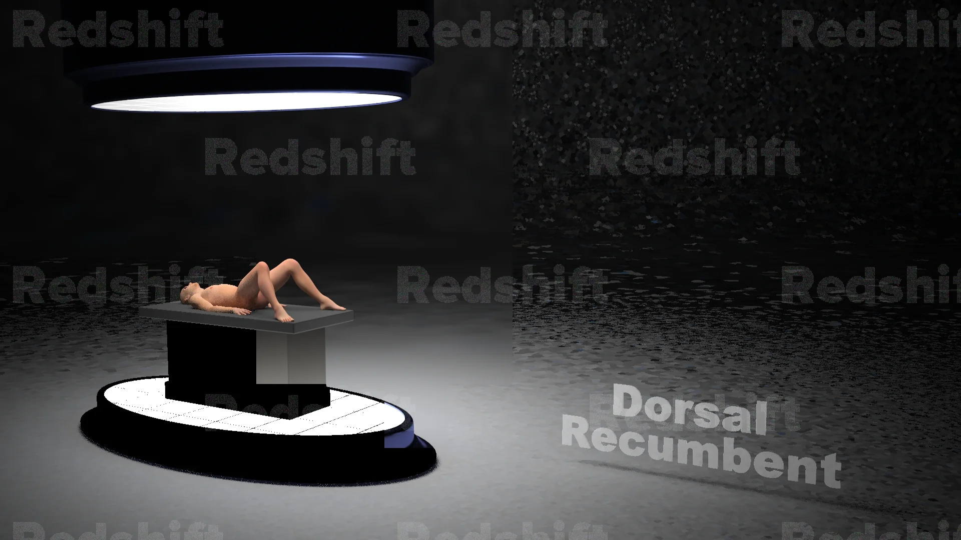 Dorsal Recumbent_B.jpg