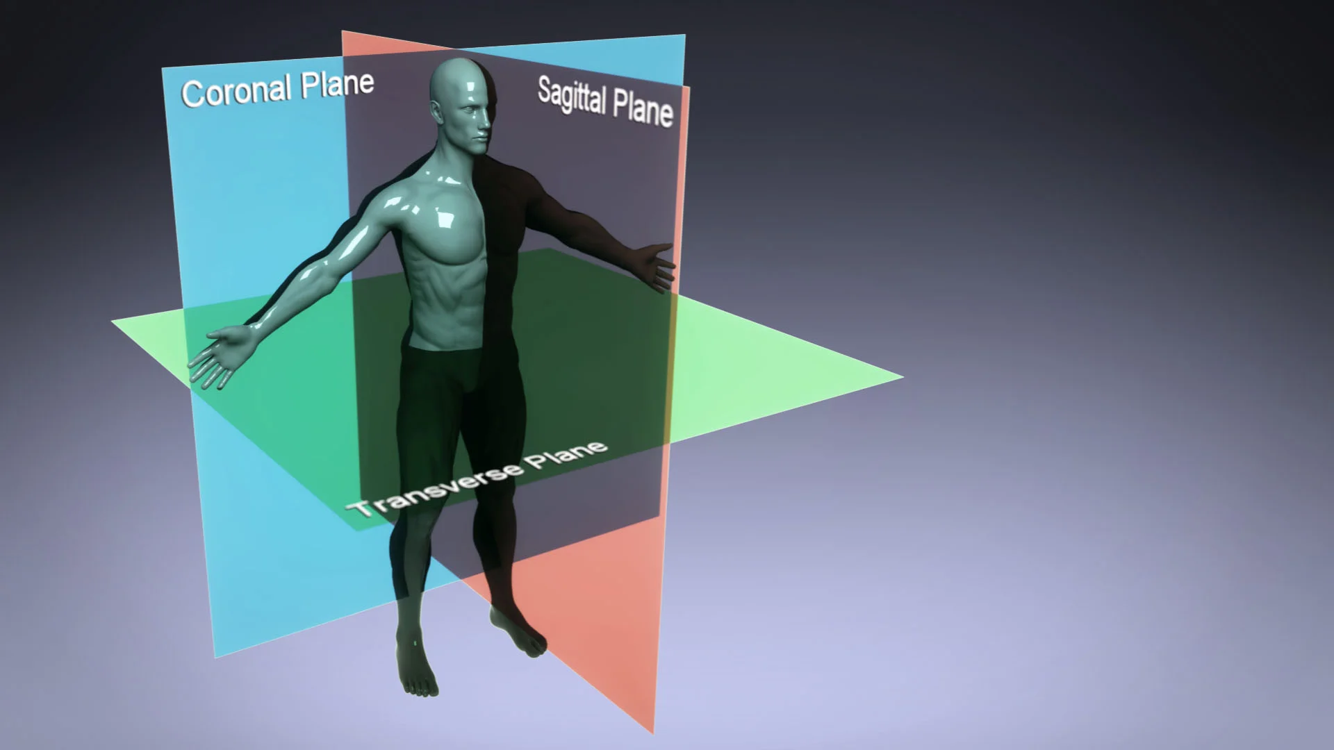 Body Planes.jpg
