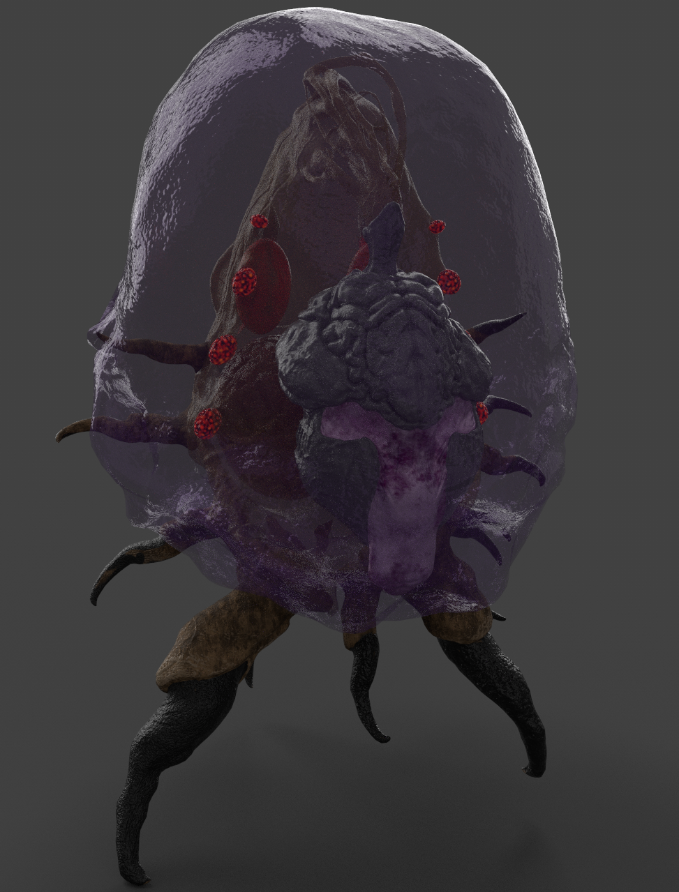 image2.png