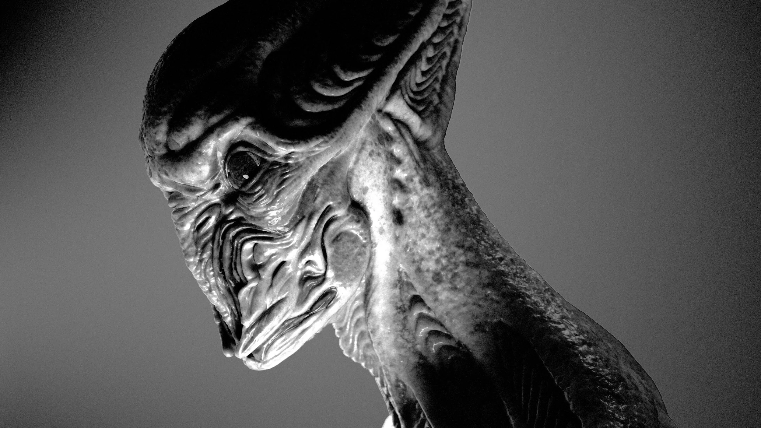 Untitled_Viewport_006.jpg