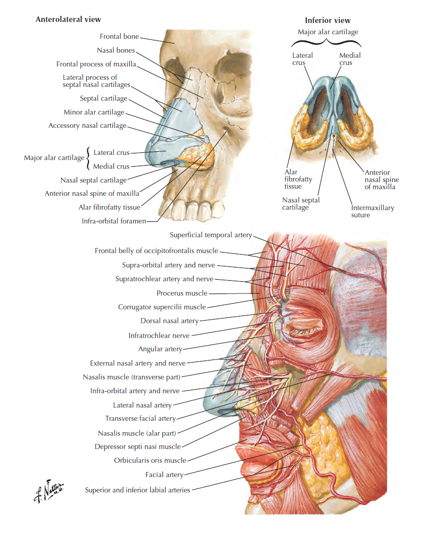 asdf aswScreenshot 2026-01-21 142122.png