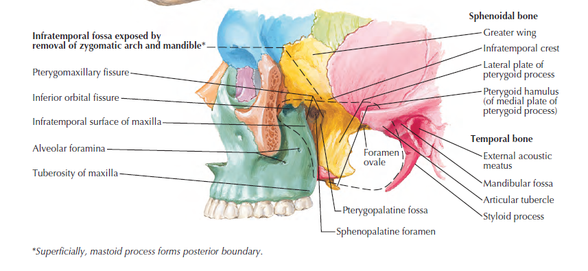 Screenshot 2026-01-21 141313.png