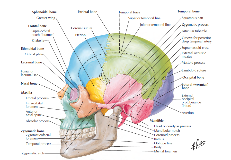 Screenshot 2026-01-21 141253.png