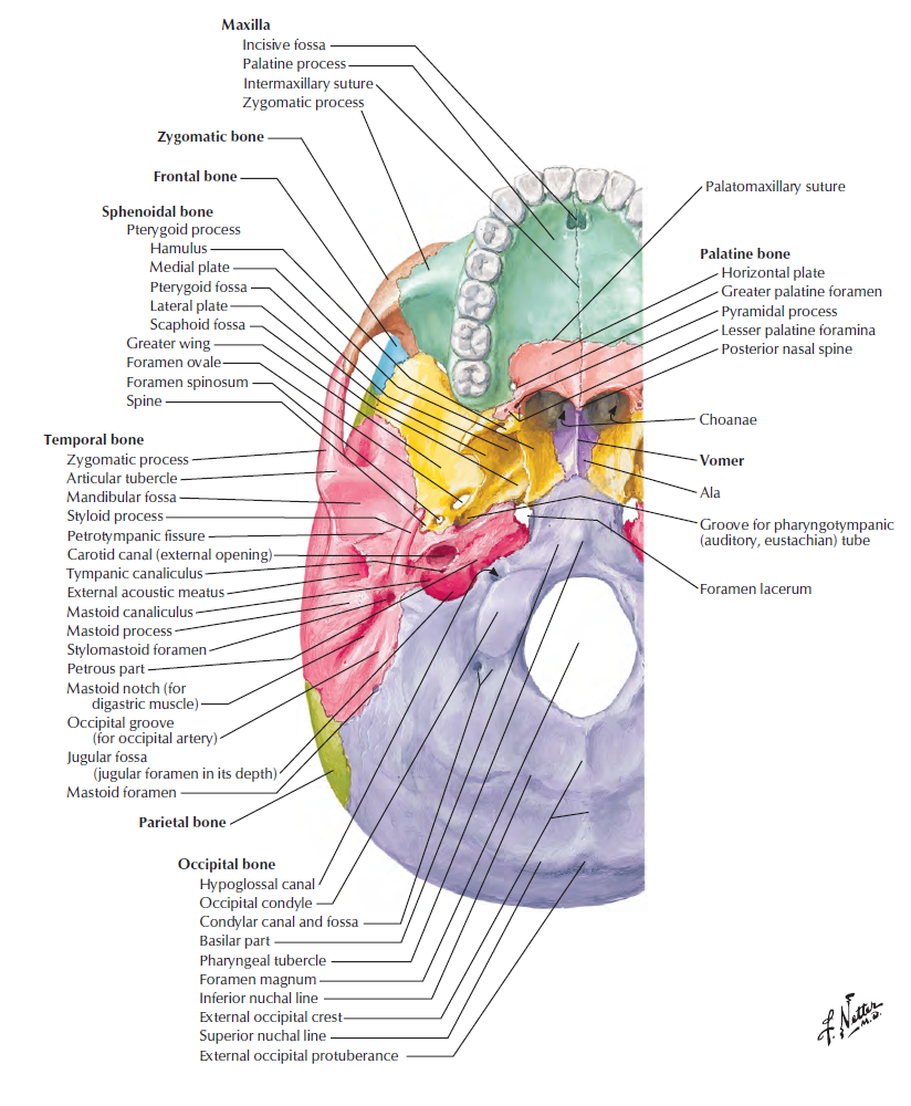 Screenshot 2026-01-21 141435.png