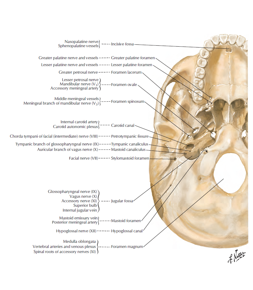 Screenshot 2026-01-21 141738.png