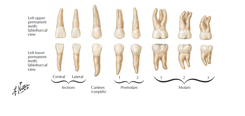 asdcvaSdca Screenshot 2026-01-21 142401.png