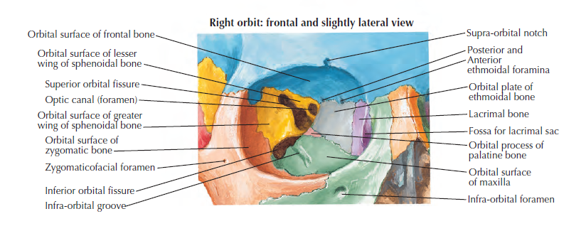 asdfa arf qwerfScreenshot 2026-01-21 141214.png